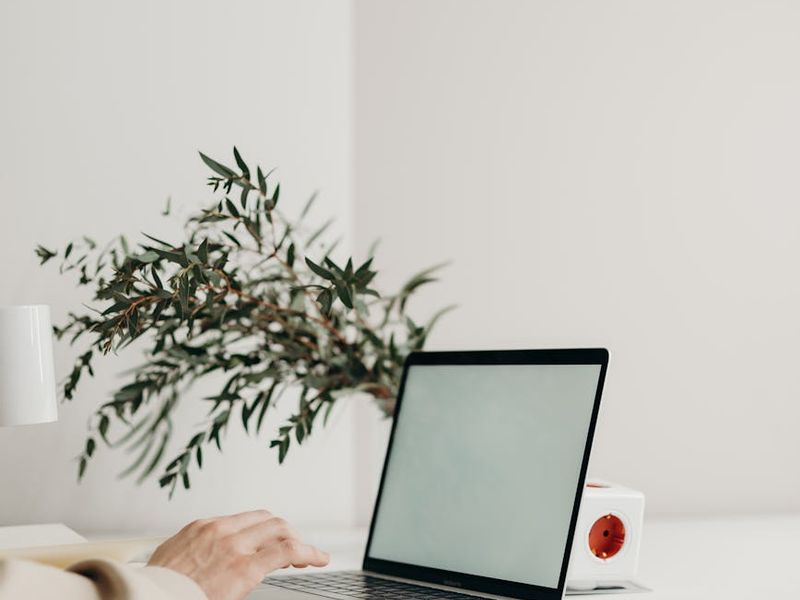 A clean, minimalist workspace with a laptop and a plant.